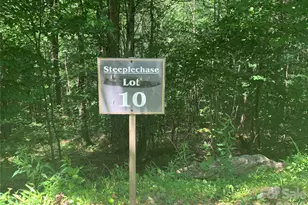 10 Mountain Gait Dr, Mars Hill, NC 28754 - Photo 14