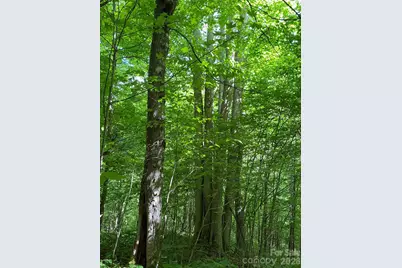 10 Mountain Gait Drive, Mars Hill, NC 28754 - Photo 10