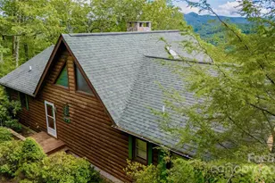 807 Pine Tree Rd, Spruce Pine, NC 28777 - Photo 36