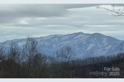 1105 Falls View Drive, Bryson City, NC 28713 - Photo 10