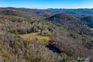 1411 Cabin Creek Rd, Zirconia, NC 28790 - Photo 2