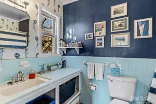 1411 Cabin Creek Rd, Zirconia, NC 28790 - Photo 28