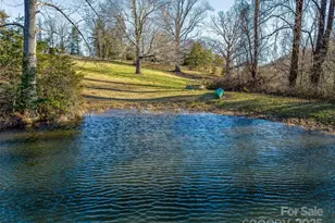 1411 Cabin Creek Rd, Zirconia, NC 28790 - Photo 8
