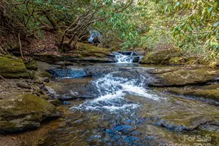 1411 Cabin Creek Rd, Zirconia, NC 28790 - Photo 48