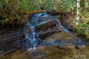 1411 Cabin Creek Rd, Zirconia, NC 28790 - Photo 44