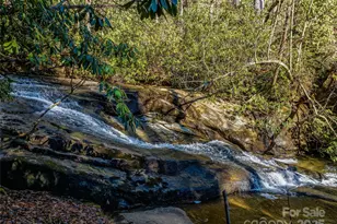 1411 Cabin Creek Rd, Zirconia, NC 28790 - Photo 10