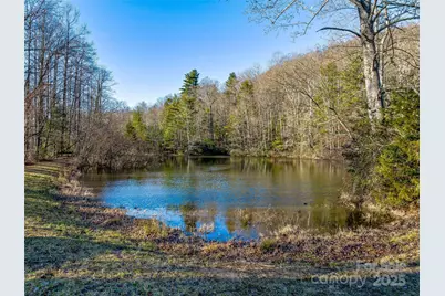 1411 Cabin Creek Road, Zirconia, NC 28790 - Photo 42