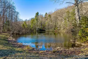 1411 Cabin Creek Rd, Zirconia, NC 28790 - Photo 42