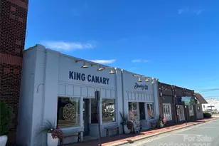 168 Harper Lee St, Davidson, NC 28036 - Photo 38