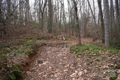 741 Glenn Bridge Road, Arden, NC 28704 - Photo 2