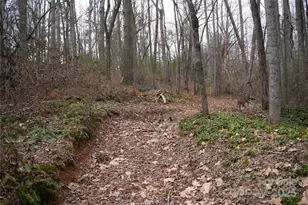 741 Glenn Bridge Rd, Arden, NC 28704 - Photo 2