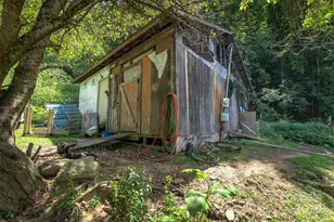 1145 Woolyshot Branch Rd, Hot Springs, NC 28743 - Photo 32