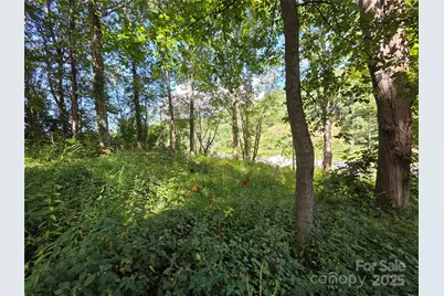 3009 Dellwood Road, Waynesville, NC 28786 - Photo 34