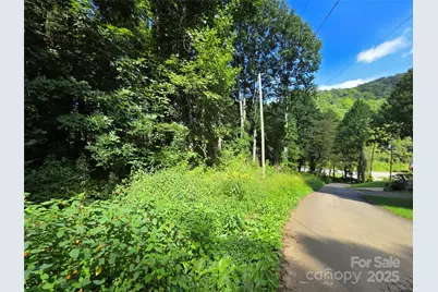 3009 Dellwood Road, Waynesville, NC 28786 - Photo 36