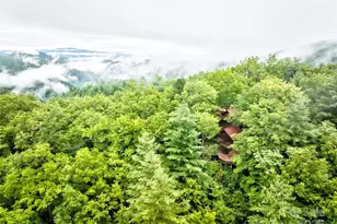 565 Silver Ridge Rd, Bryson City, NC 28713 - Photo 14