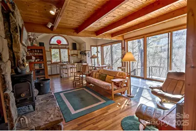 565 Silver Ridge Road, Bryson City, NC 28713 - Photo 4