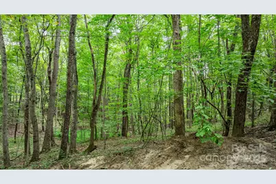 206 Rocky Top Road, Taylorsville, NC 28681 - Photo 14