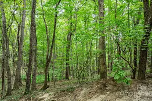206 Rocky Top Rd, Taylorsville, NC 28681 - Photo 14