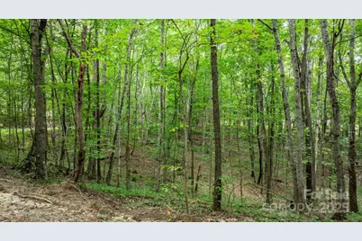 206 Rocky Top Road, Taylorsville, NC 28681 - Photo 12