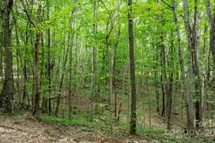 206 Rocky Top Rd, Taylorsville, NC 28681 - Photo 12