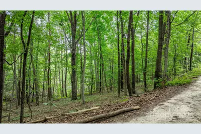 206 Rocky Top Road, Taylorsville, NC 28681 - Photo 24