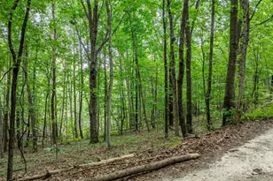 206 Rocky Top Rd, Taylorsville, NC 28681 - Photo 24