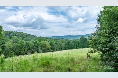 206 Rocky Top Road, Taylorsville, NC 28681 - Photo 18