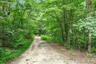 206 Rocky Top Rd, Taylorsville, NC 28681 - Photo 10