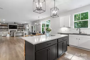 11228 Wooded Saddle Rd, Charlotte, NC 28216 - Photo 18