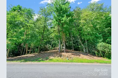 99999 Mistletoe Trail #43 & 44, Hendersonville, NC 28791 - Photo 6