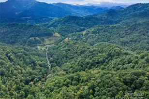 1393 Bald Mountain Rd, Burnsville, NC 28714 - Photo 4