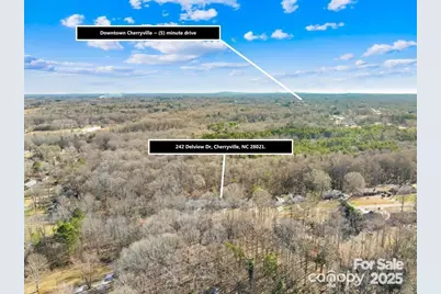 242 Delview Drive, Cherryville, NC 28021 - Photo 34