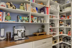 82132 Standing Oak Dr, Charlotte, NC 28278 - Photo 20