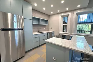 132A Biltmore Ave, Asheville, NC 28801 - Photo 1