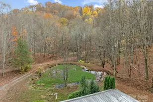 61 Doe Loop, Hot Springs, NC 28743 - Photo 26