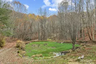 61 Doe Loop, Hot Springs, NC 28743 - Photo 28