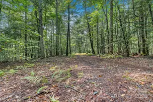 28 Caddis Ct, Marshall, NC 28753 - Photo 32