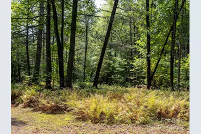 28 Caddis Court, Marshall, NC 28753 - Photo 34