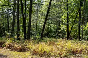 28 Caddis Ct, Marshall, NC 28753 - Photo 34