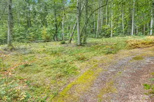 28 Caddis Ct, Marshall, NC 28753 - Photo 40