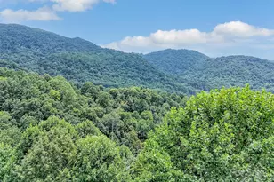 4823 Max Patch Rd, Clyde, NC 28721 - Photo 46