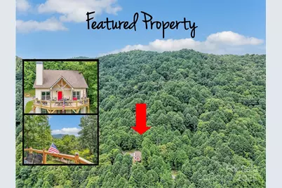 4823 Max Patch Road, Clyde, NC 28721 - Photo 2