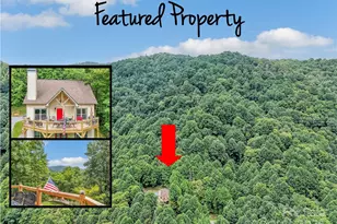 4823 Max Patch Rd, Clyde, NC 28721 - Photo 2