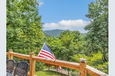 4823 Max Patch Road, Clyde, NC 28721 - Photo 26