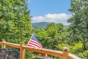 4823 Max Patch Rd, Clyde, NC 28721 - Photo 26