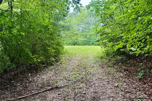 0 Chickadee Dr, Bryson City, NC 28713 - Photo 6