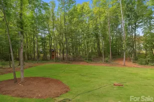 11125 Dappled Lgt Trl, Mint Hill, NC 28227 - Photo 34