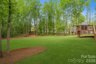 11125 Dappled Lgt Trl, Mint Hill, NC 28227 - Photo 32