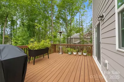 11125 Dappled Light Trail, Mint Hill, NC 28227 - Photo 28