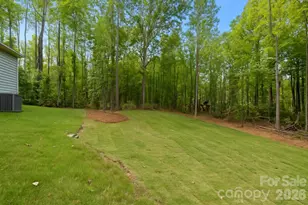 11125 Dappled Lgt Trl, Mint Hill, NC 28227 - Photo 32